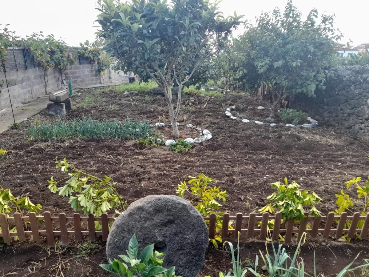 Alojamento Santa Cruz Villa Lagoa  Kültér fotó