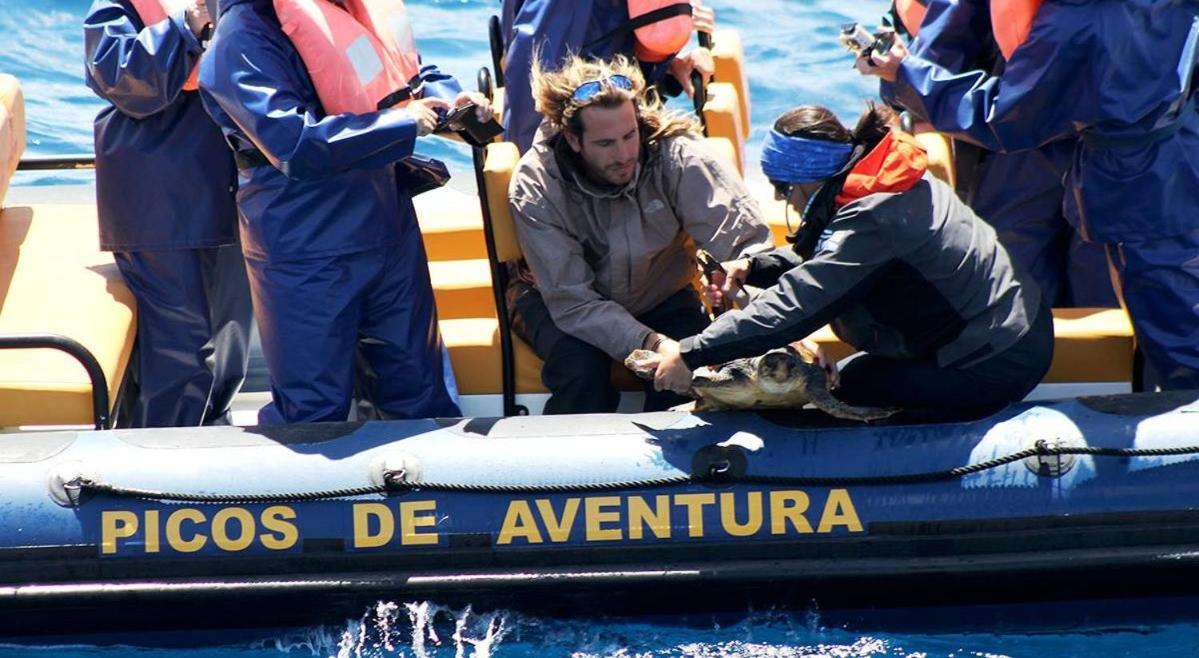 Alojamento Santa Cruz Villa Lagoa  Kültér fotó